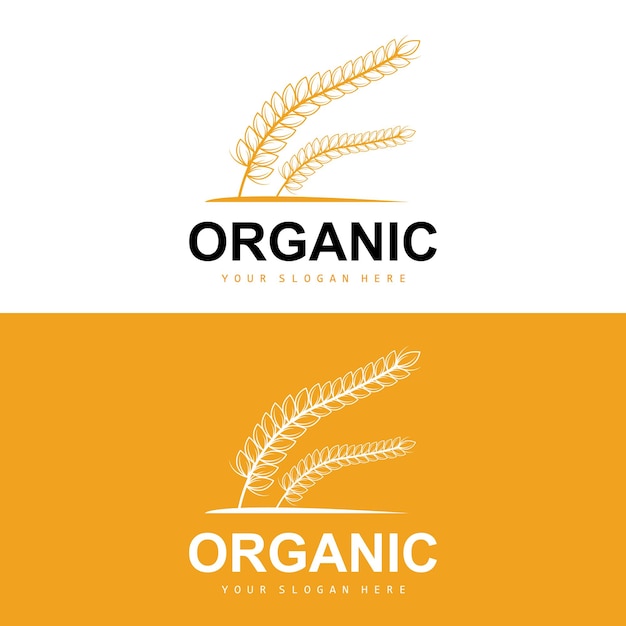 Wheat Rice Logo Agricultural Organic Plants Vector Luxury Design Golden Bakery Ingredients