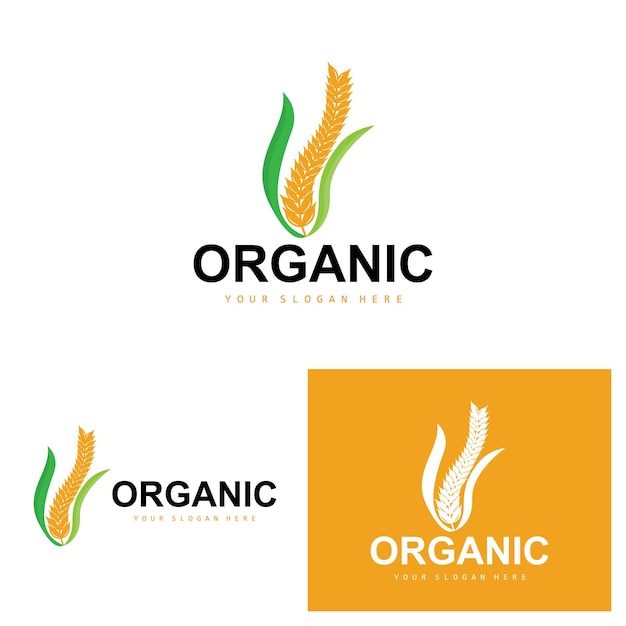 Wheat Rice Logo Agricultural Organic Plants Vector Luxury Design Golden Bakery Ingredients