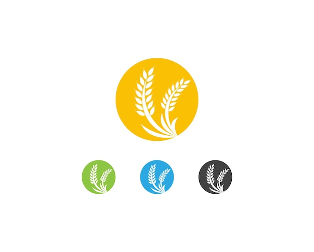 Wheat rice logo template