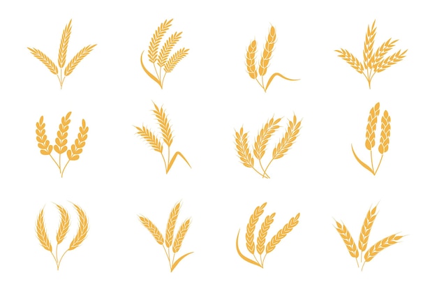 Wheat and rye ears. Harvest stalk grain spike icon. Gold elements for organic food logo, bread packaging or beer label. Isolated vector silhouette icons set