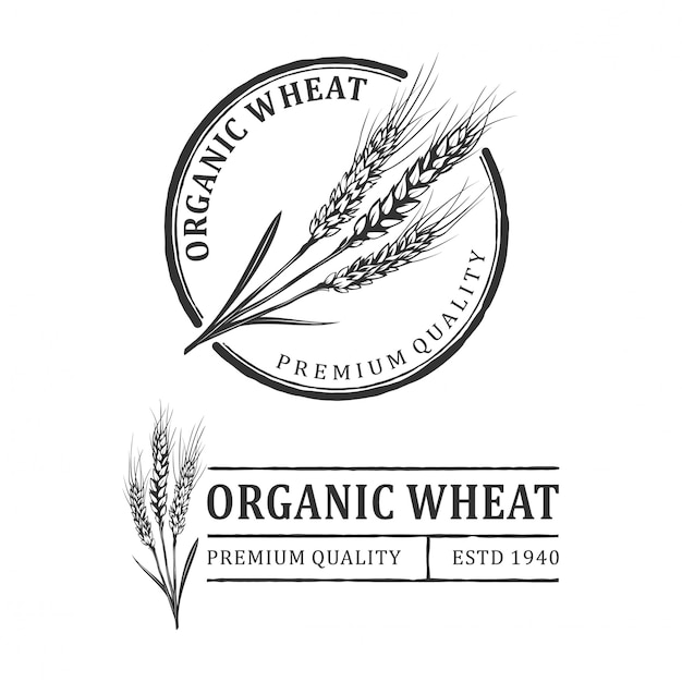 Wheat vintage logo