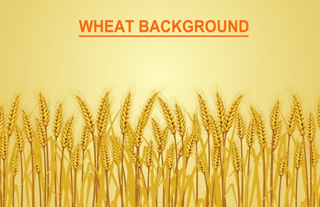 Wheat on the yellow background. vector