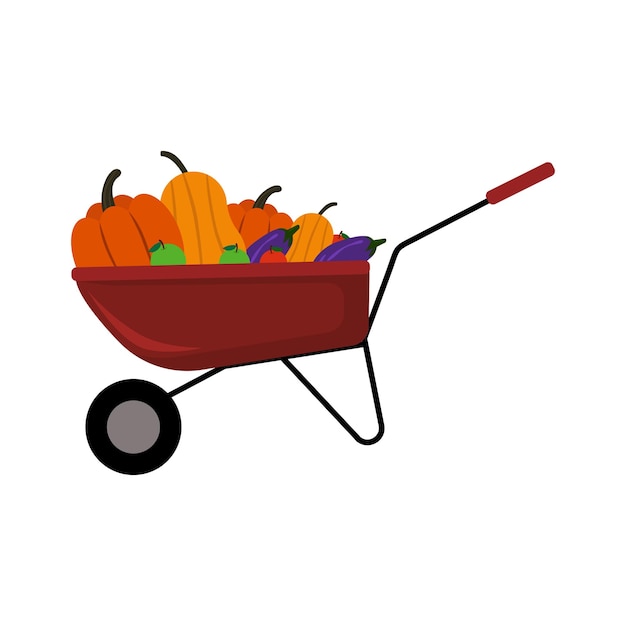 Wheelbarrow with harvest, pumpkin apple, eggplant in autumn, vector illustration garden concept