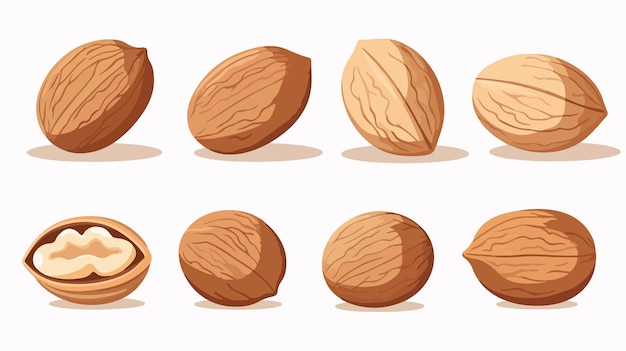 Whimsical Cartoon Nuts Vector Illustration for Creative Projects