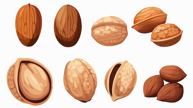 Whimsical Cartoon Nuts Vector Illustration for Creative Projects