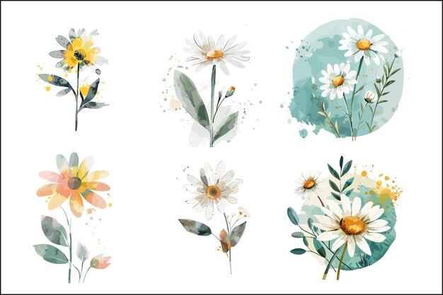 Vector whimsical daisy watercolor design