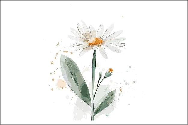 Vector whimsical daisy watercolor design