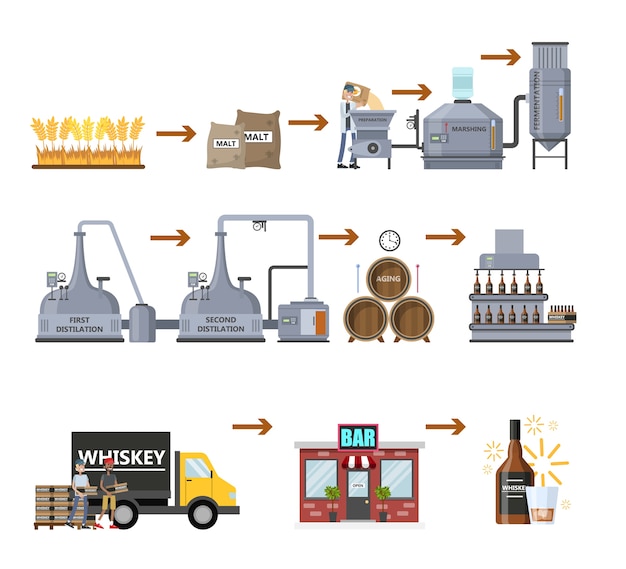 Whiskey production process. Fermentation, distillation, aging and bottling alcohol drink. Wooden barrel with whiskey. From wheat to delivery to the bar. Isolated vector flat illustration