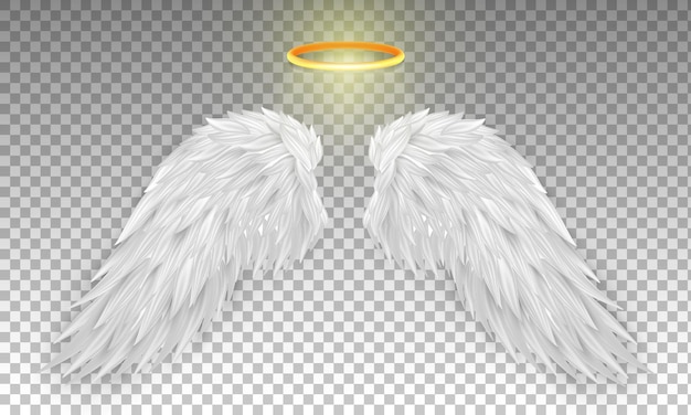 Vector white angel wings with golden halo on a transparent background