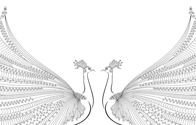 A white background with a peacocks wings.