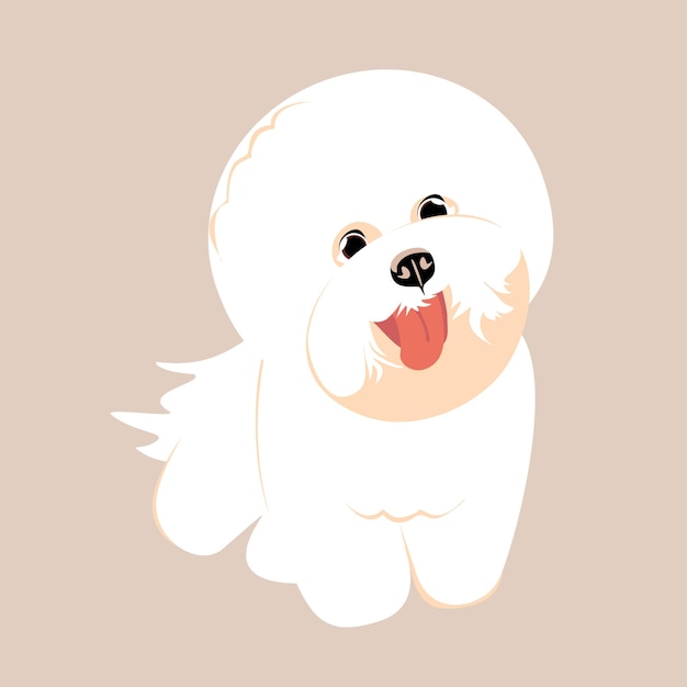 White bichon frise, cute dog isolated on color background. Trendy hand-drawn vector illustration.