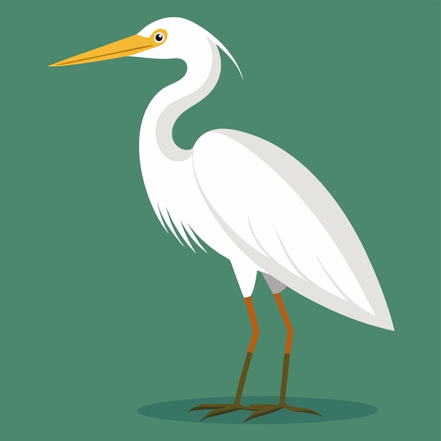 a white bird with a long beak stands on a green background