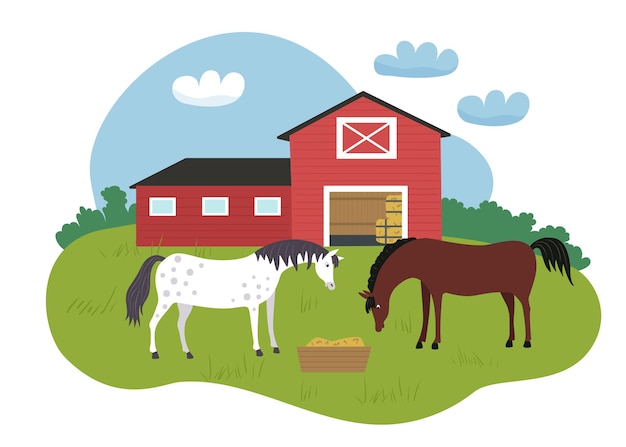 White and brown horses eat hay from a trough. Horses in the pasture next to the red farm.