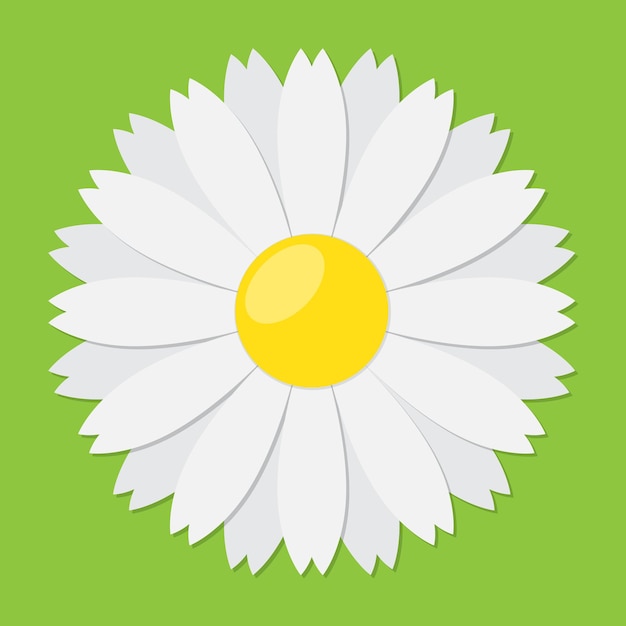 White chamomile icon Vector illustration