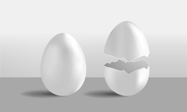 White cracked egg