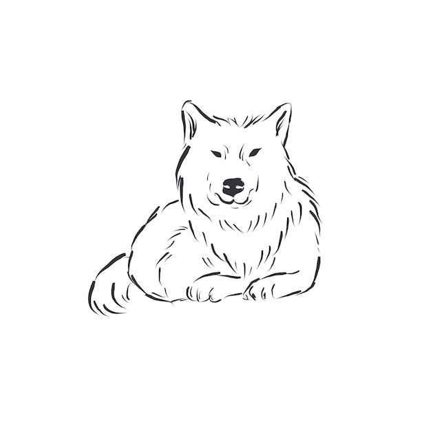 White dog line art isolated on white background