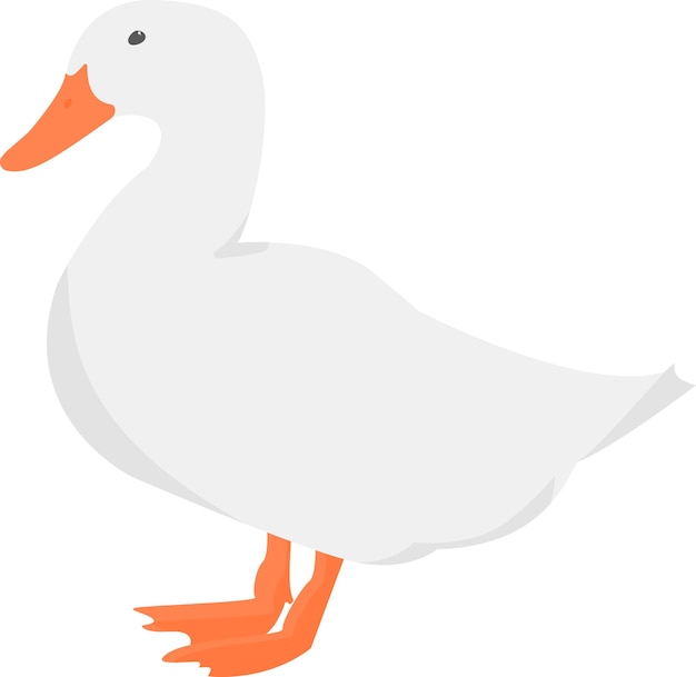 White domestic goose Vector illustration Isolated on white background