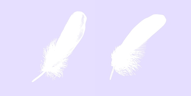 White Feather Ink Graphic Drawing Vector Illustration Set