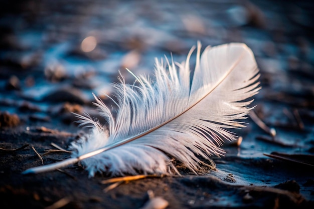 Vector white feather