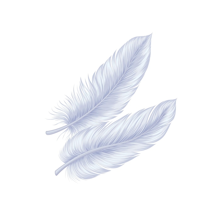 White Feathers