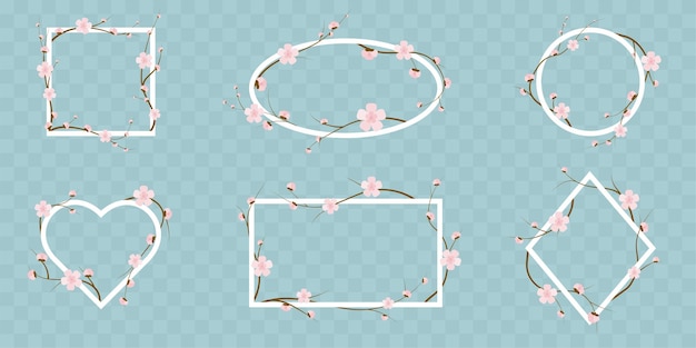 Vector white floral frame set with sakura cherry blossom square circle rectangle and heart vector element