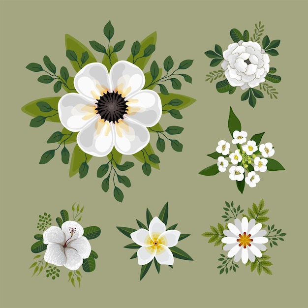 White Flowers Vector Set Illustration