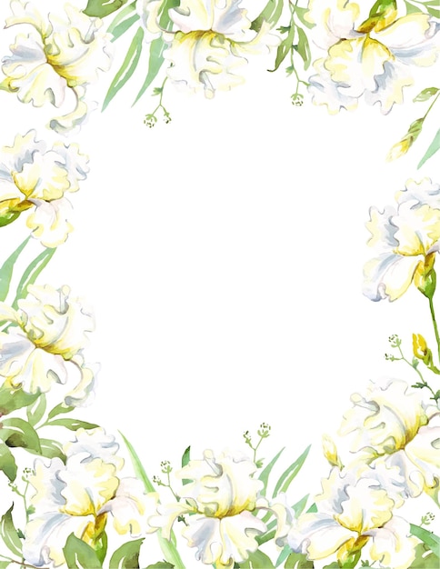 White iris frame