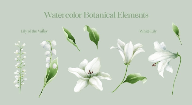 White Lily Botanical Watercolor Elements