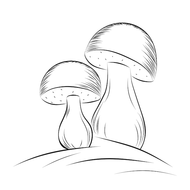 White mushrooms handdrawn in the sketch style It can be used as a product packaging sticker Vector