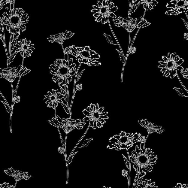 White outline flower chamomiles on black background Seamless floral pattern Hand drawn