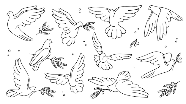 White peace dove and pigeon bird silhouettes