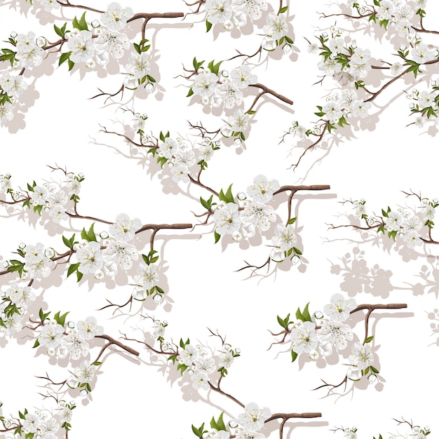 Vector white peach blossoms flower seamless pattern