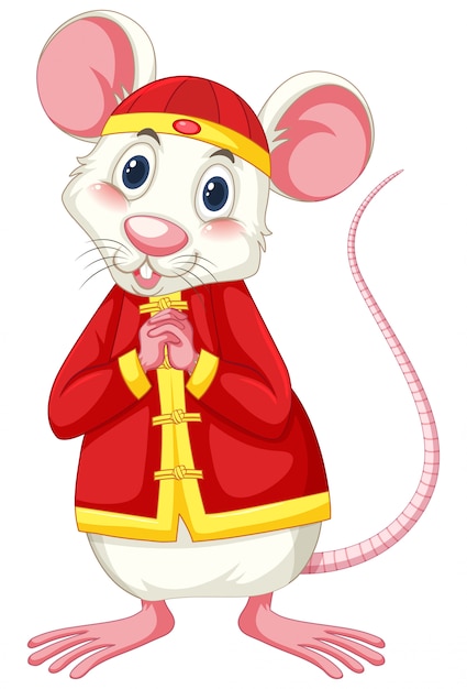 White rat wearing chinese costume