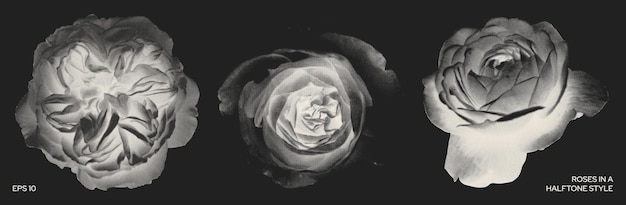 Vector white roses in halftone style on a black background y2k elements floral design for collage vector