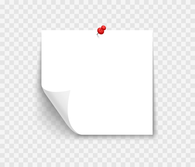 Vector white sheet of note paper with red push pin sticky note with curl and shadow