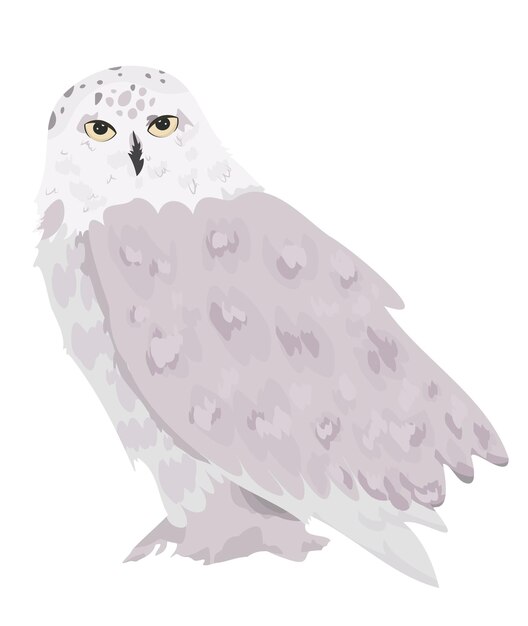 Vector white snowy owl isolated on a white background vector illustration