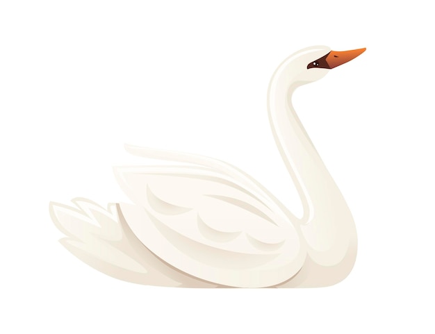 White swan largest flying bird swim on water cartoon animal design flat vector illustration isolated on white background.