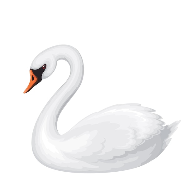 White Swan