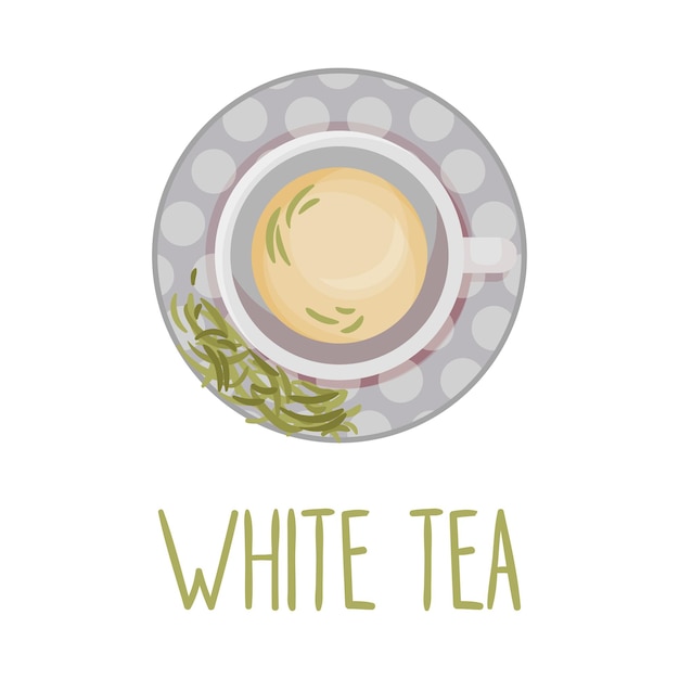 White tea vector illustration colorful herbal drink served in teacup