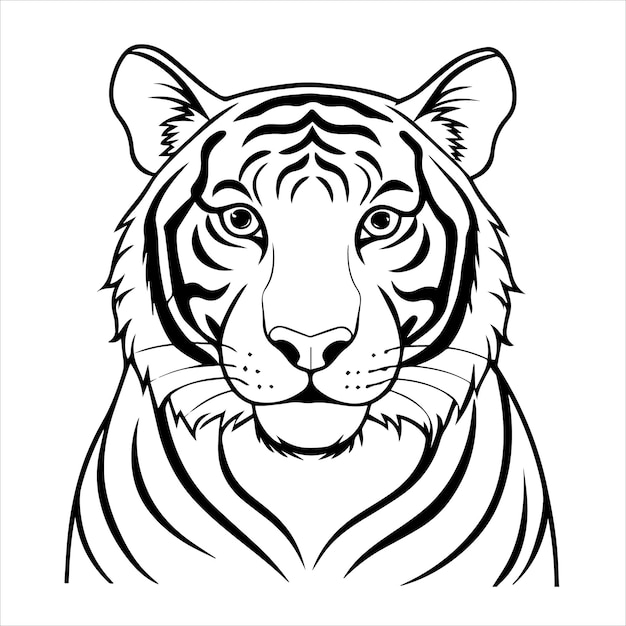 Vector a white tiger with black stripes and a white background that says tiger