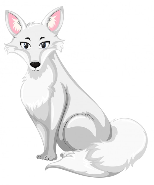 A white wolf on white background