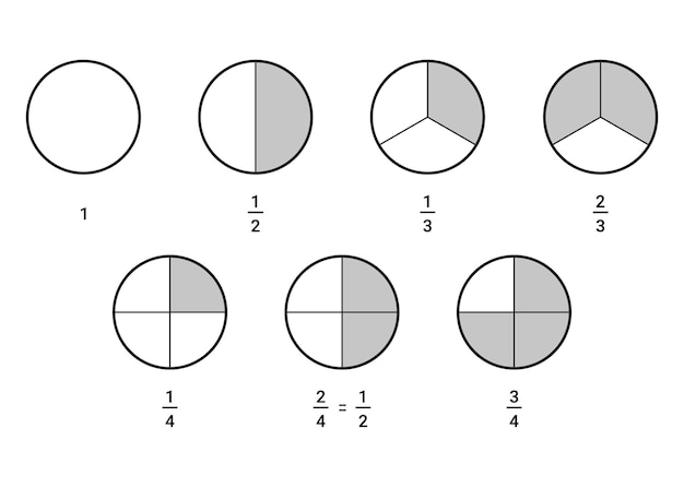 Whole circle divided into parts share math fraction. Mathematics infographic circle piece diagram