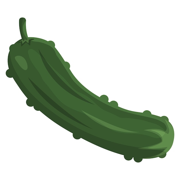 Whole cucumber realistic flat vector illustration, Healthy food design. ingredients for cooking.