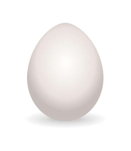 Whole egg. Realistic chicken egg with not broken eggshell. Design element of fragile egg.