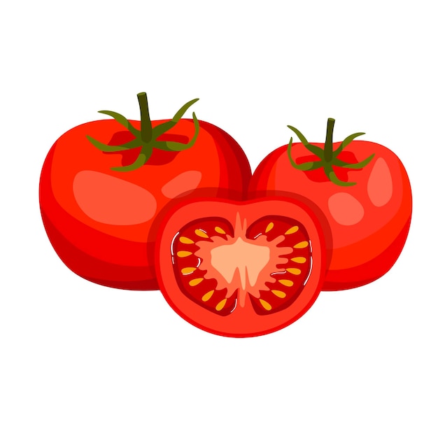 Whole and half cut tomatoes isolated on white background Vector cartoon illustration