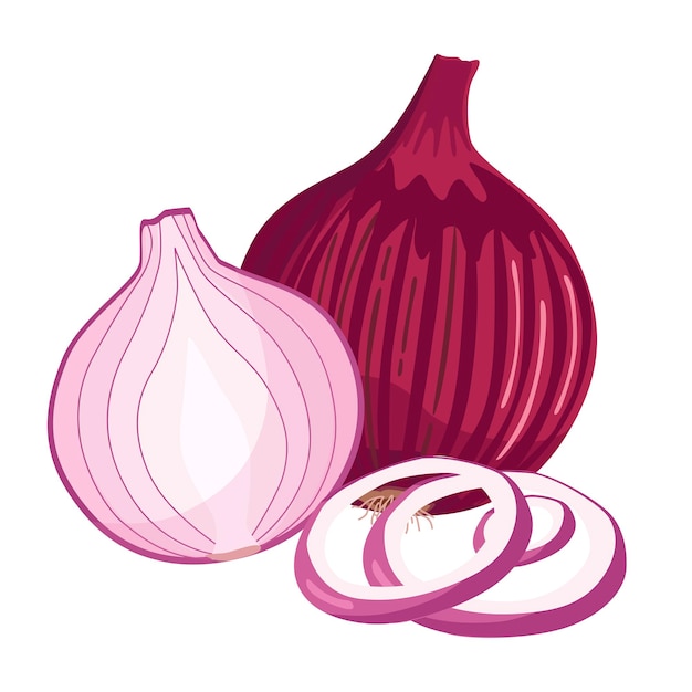 Whole half and sliced red onions isolated on white background Vector cartoon illustration