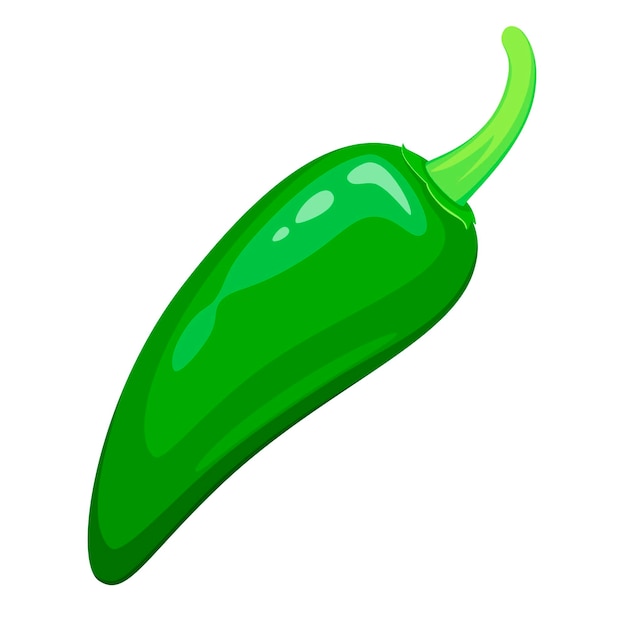 A whole jalapeno on a white background. Cartoon design.