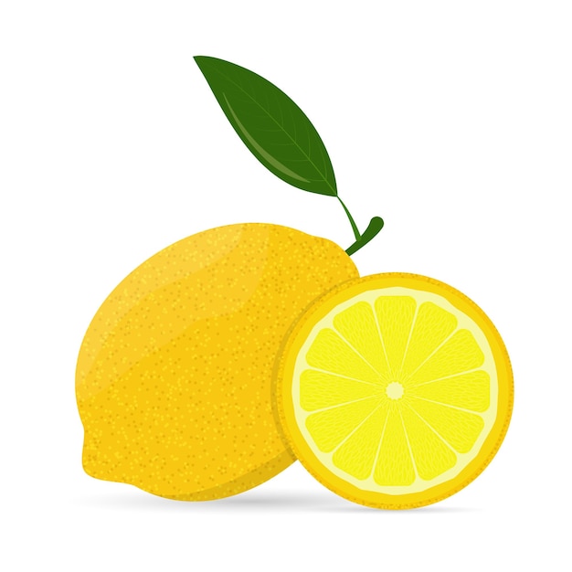 Whole lemon and slice vector illustration