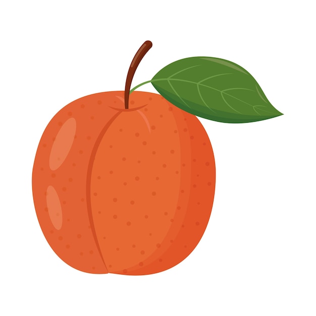 Whole orange peach with green leaf isolated on white background Flat vector illustration