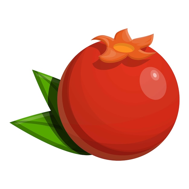 Whole pomegranate icon Cartoon of whole pomegranate vector icon for web design isolated on white background